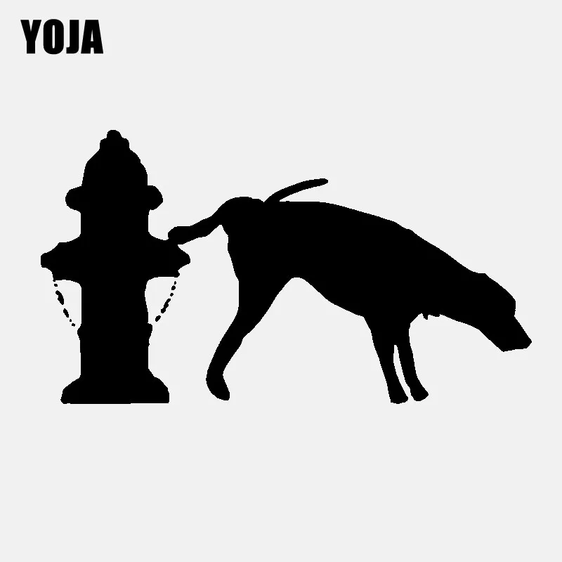 Why Do Dogs Like To Pee On Fire Hydrants