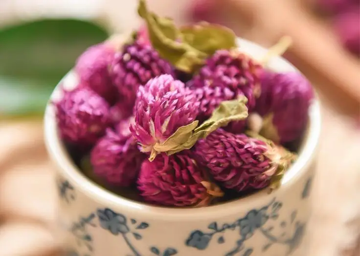 HTB1bjF0KbuWBuNjSszgq6z8jVXa2