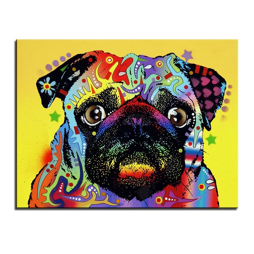 dog-36-b