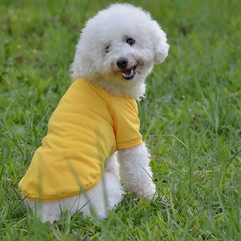F09 Футболка Поло для собак летняя одежда для собак красивая одежда для собак Одежда для щенков