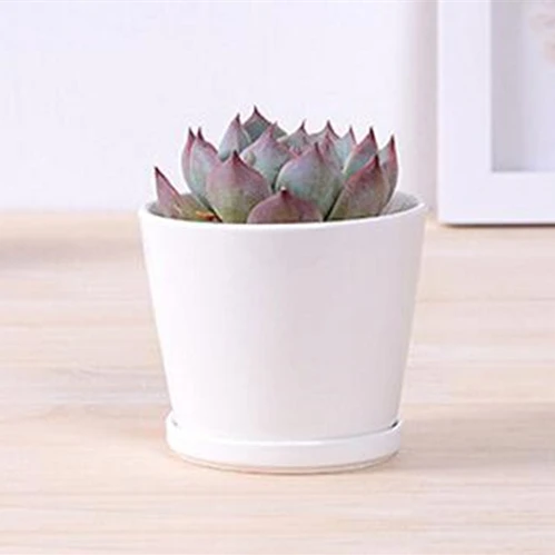 

6.5cm Diameter Cylinder Shape Pure White Ivory Ceramic Mini Flower Pot for Succulent Plant Succulent Plant Small Bonsai Tray Pot