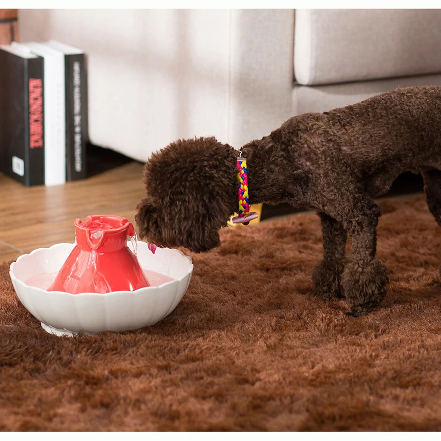 pet fountain 9723 (7)