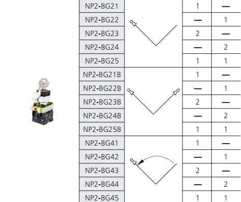 NP2-BG21 