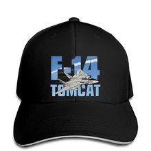 F-14 Tomcat T