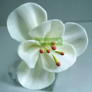 

1000 pcs /lot Handmade sola wood flowers for fragrance diffuser and home decor with 12cm Rope or rattan reed sticks Top quality