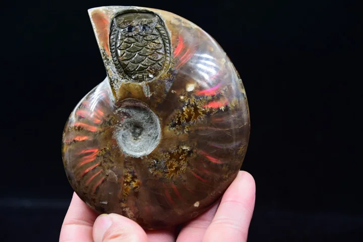 

Seven color of light beautiful natural quartz crystal carving owl specimens of snail shells