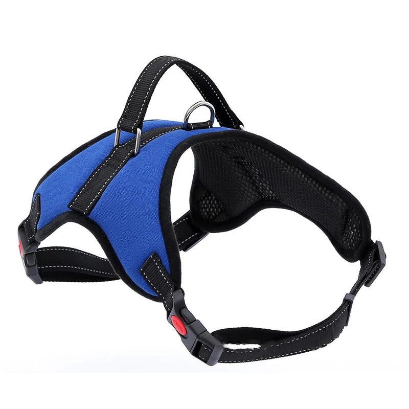 dog harness (6)