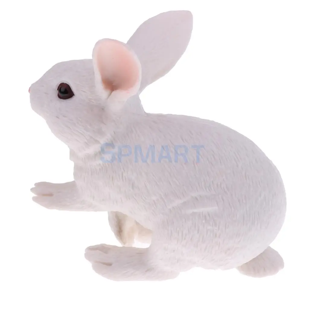 Simulation Wildlife Farm Pet Animal Model Action Figures Figurine Kid Educational Science Nature Toy Home Collectible Decoration