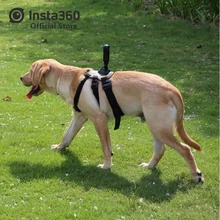 Набор домашних животных(Insta360 ONE X и ONE аксессуары