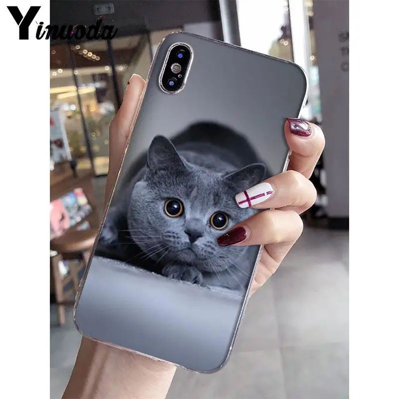 Yinuoda Британский короткошерстный Кот поделка-чехол для телефона для iPhone 5 5Sx 6 7plus 8 8Plus X XS MAX XR Fundas Capa - Цвет: A4