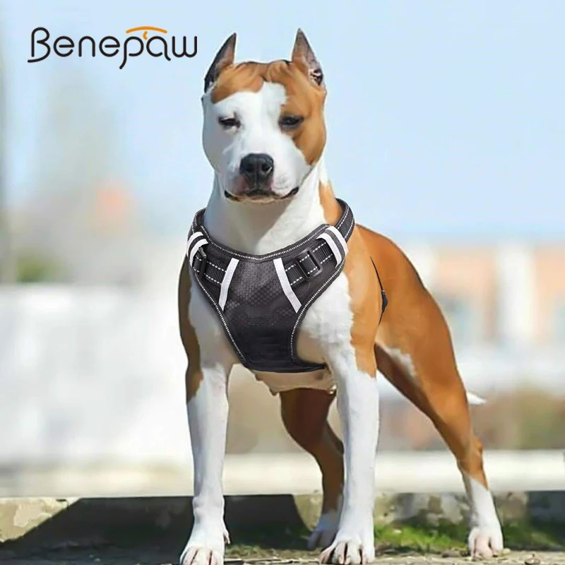Online Benepaw transpirable sin tirar Chaleco de arnés de perro grande suave ajustable reflectante Durable arnés de mascotas mediano grande perro fácil de controlar