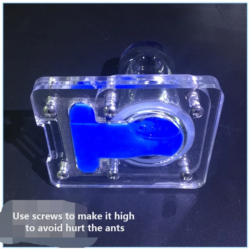 Ants-water-feeder (5)