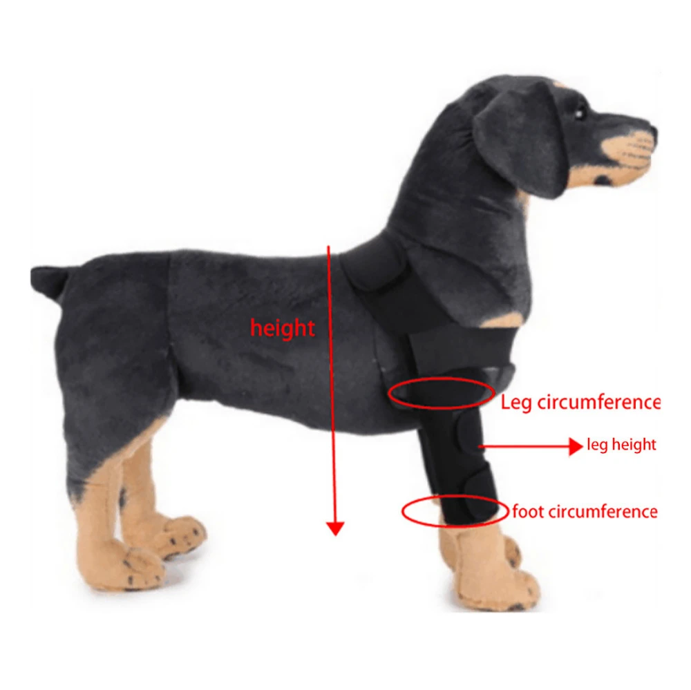 Protege Coude Extra Protecteur Pour Chien Protection Contre Les Plaies 18 Tendance Chaude Pour Les Jambes Arriere Protection Des Blessures 0523 Aliexpress Protege Coude Extra Protecteur Pour Chien Protection Contre Les Plaies 18 Tendance Chaude Pour Les Jambes Arriere Protection Des Blessures 0523 Aliexpress