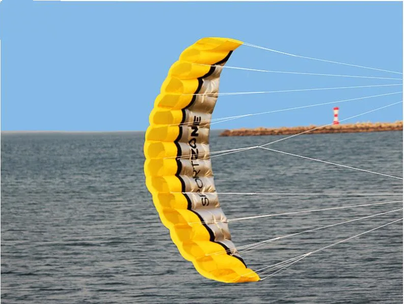 Удовольствие! 250 см двойной линии parafoil трюк кайт с развевающимися Инструменты кос Парусный Спорт Surf Радуга кайт Спорт на открытом воздухе