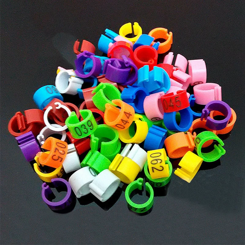 100 PCS NO.1 100 Pigeon rings Color foot ring Bird