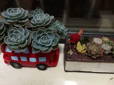 Zakka Creative Flowerpot Retro Cars Colorful Planter Resin Garden Succulent Plants Bonsai Flower Pot Decoration indoor macetas (1)