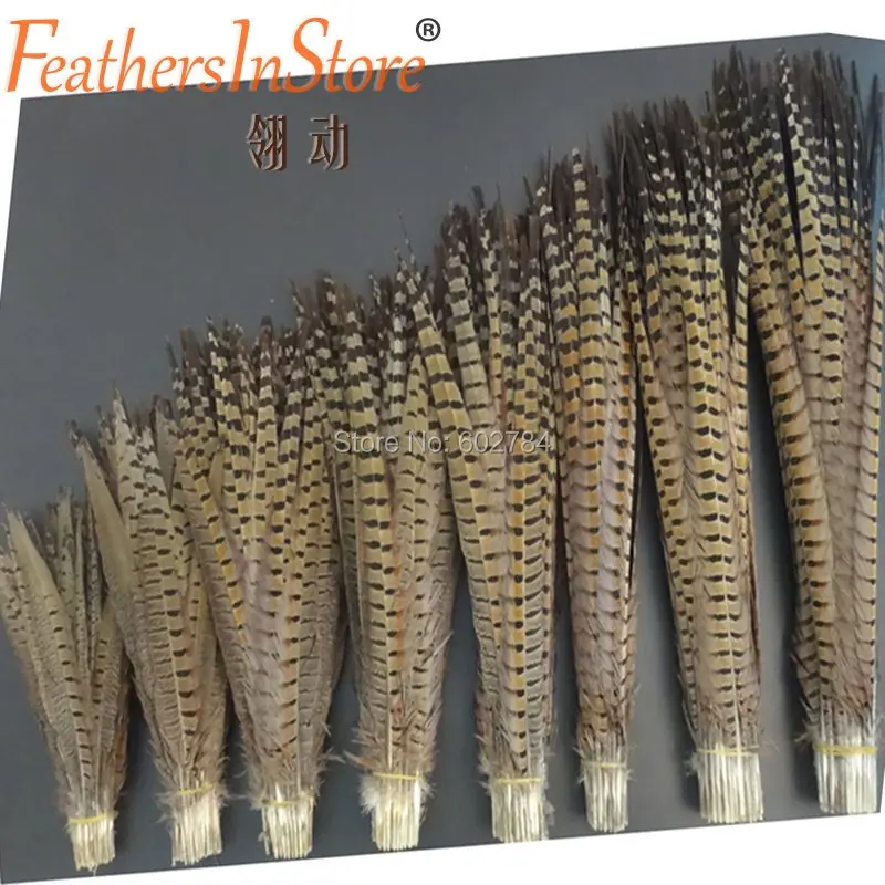 

Factory Wholesale Cheap Feather 100pcs 25-70cm 10-28inch Ringneck Pheasant Ringneck tails feather Carnival Decor