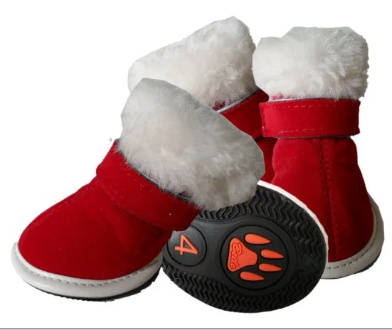 Dogs In Snow Boots Video Dogs In Snow Boots Video