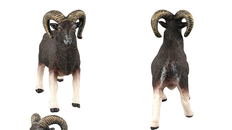 African Wild Animals Toys Antelope Zebra  Cattle Bull Argali Model Action Figures Lifelike Collectible Dolls Figurine Decor Gifts_04
