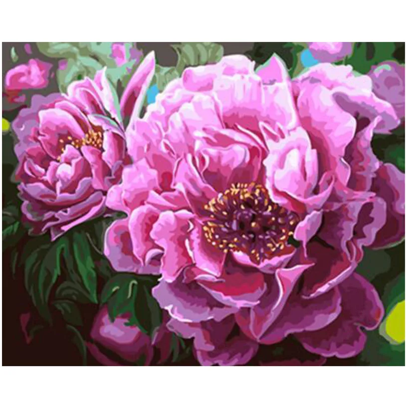 

WEEN Pink Peony-DIY Painting By Numbers Kit,Paint On Canvas, Coloring By Numbers, Painting Calligraphy For Home Decor 40x50cm