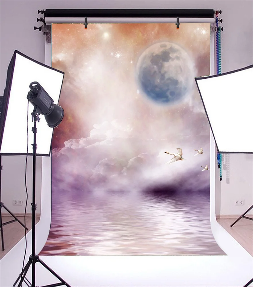 Laeacco Sea Birds Planet Nebula Clouds Fantasy Scene Photography Backgrounds Customized Photographic Backdrops For Photo Studio