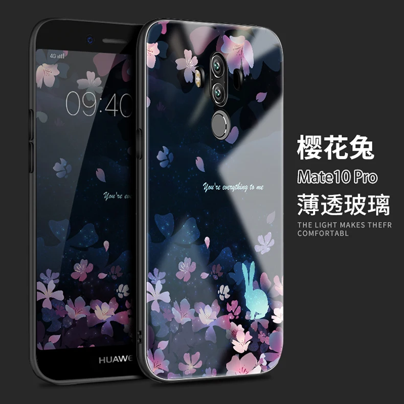 mate 10 pro (5)