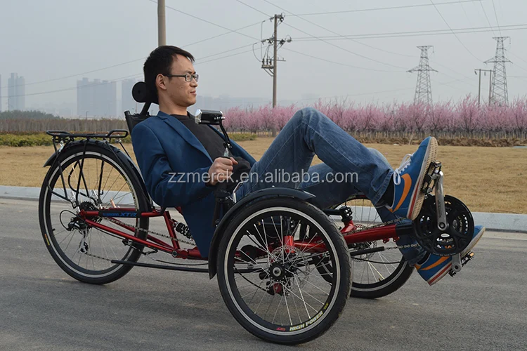 pedal adult trike 1.jpg