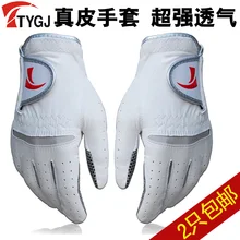 TTYGJ men s font b golf b font ball gloves genuine leather slip resistant gloves Free