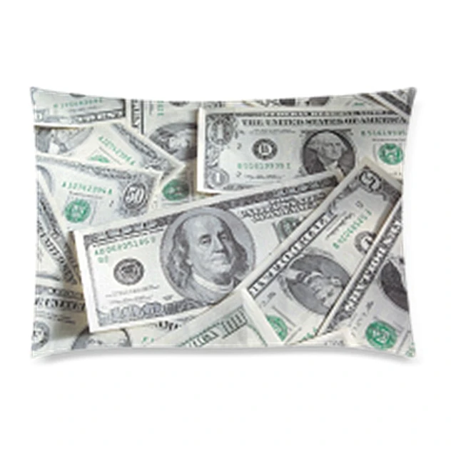 New US Dollar Bill Pillow Case Cover Funny Money Wealth Rectangle