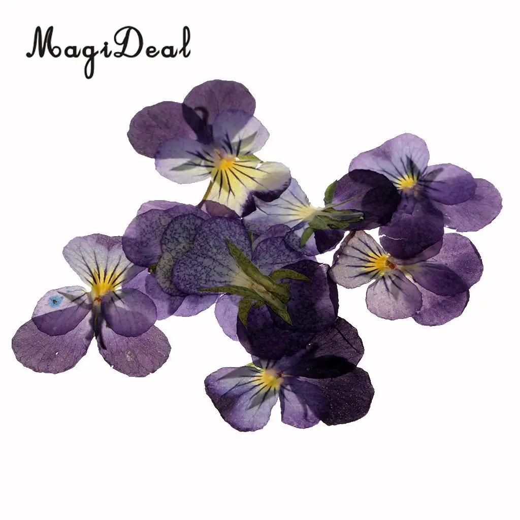 22pcs Natural Real Rose Flower Violet Dried Pressed Flowers for Scrapbooking Crafts