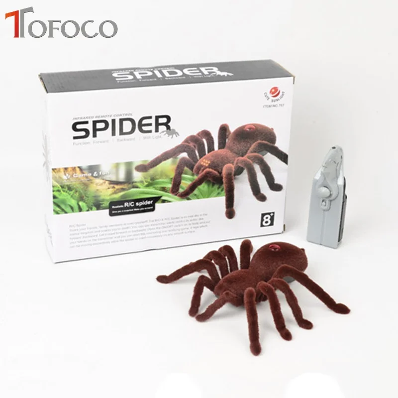 tfl027spider01
