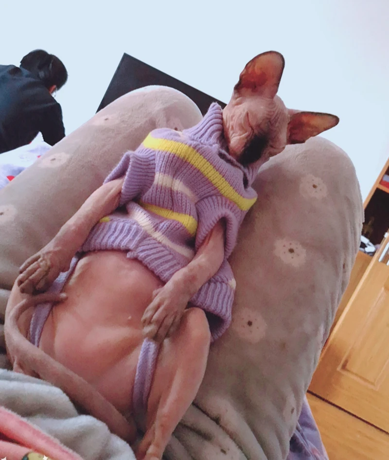 TB2CUA7ngHqK1RjSZJnXXbNLpXa_!!0-rate