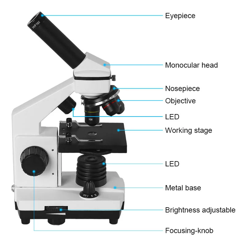 XSP-42_2