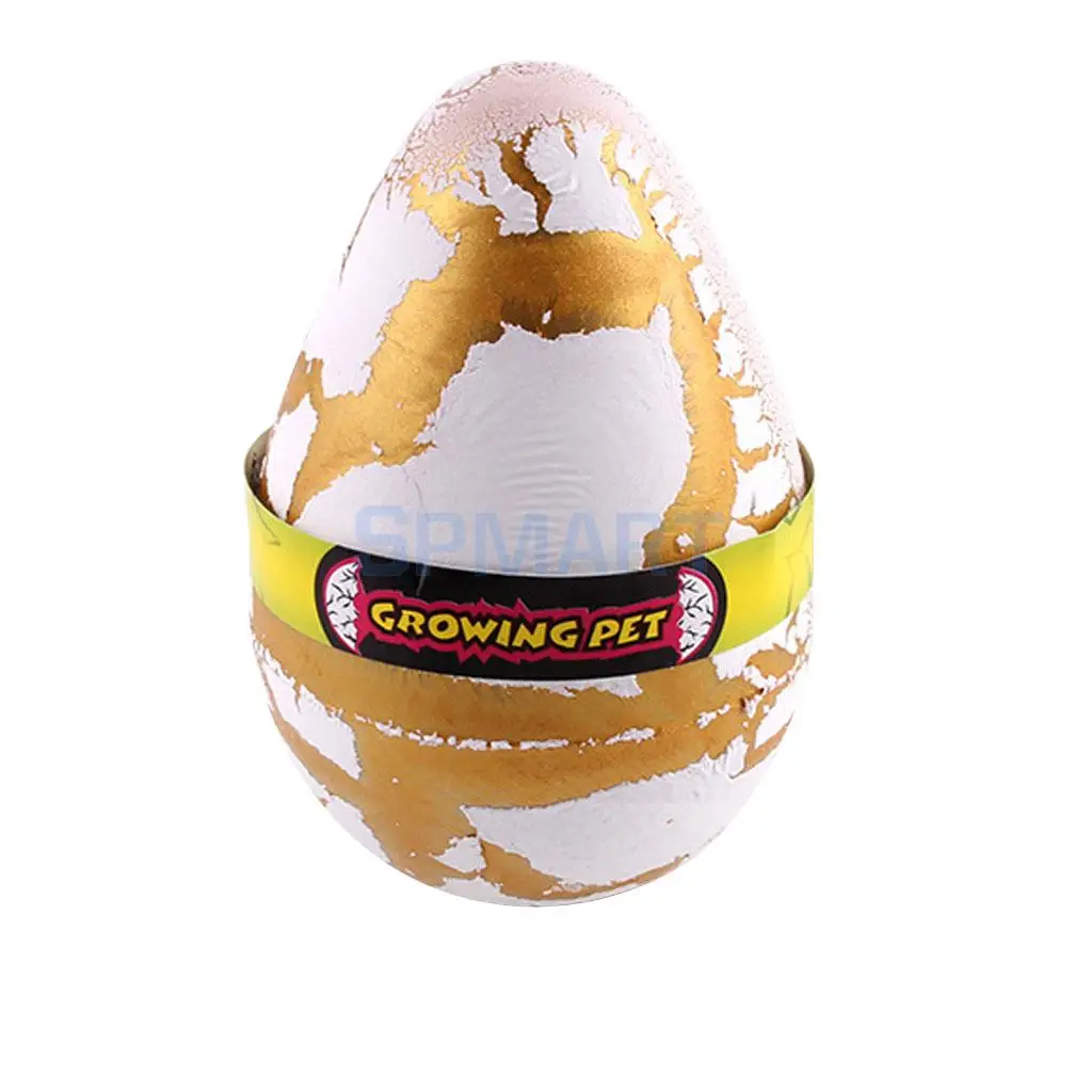 Buy Cute Magic White Hatch Grow Dino Pet Hatching