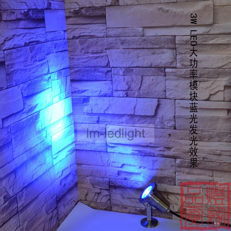 24V led para piscina 3W dia82mm IP68 подводный свет Bridgelux 45mil для бассейна Бесплатная доставка 10