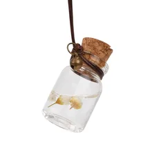 Автомобильный флакон духов, Автомобильная подвеска для зеркала заднего вида, освежитель воздуха, пустая подвесная бутылка, автомобильный орнамент для эфирных масел с цветком