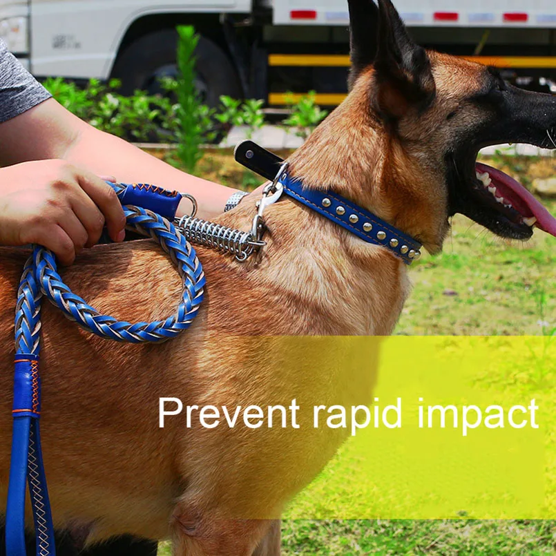 

Strong Dog Collar and Leash Set Adjustable Soft Genuine Leather Leash For Medium Large Dogs Pitbull Pets Walking Training Leads