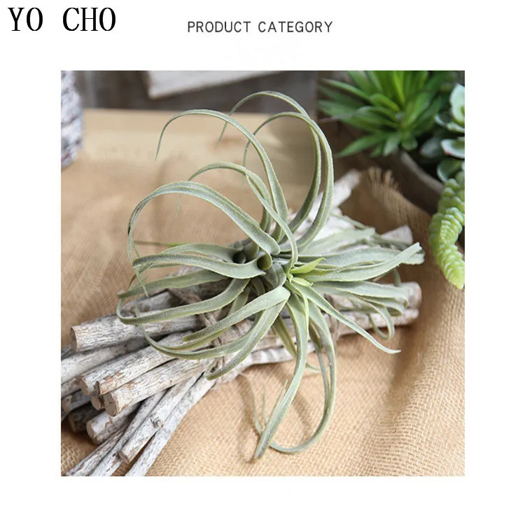 5267186458_1245478559