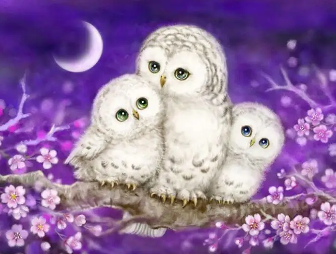 QQ20190108200934