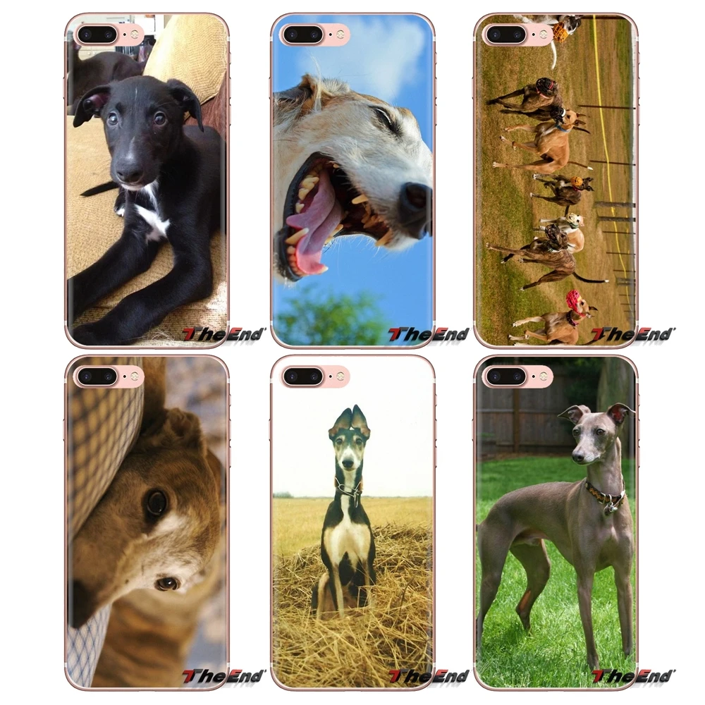 galgo greyhound puppy Dog Pets For Xiaomi Redmi 4A S2 Note 3 3S 4 4X 5 Plus 6 7 6A Pro Pocophone F1 TPU Transparent Cases Covers |