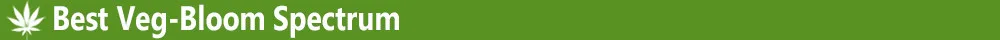 Best Veg-Bloom Spectrum
