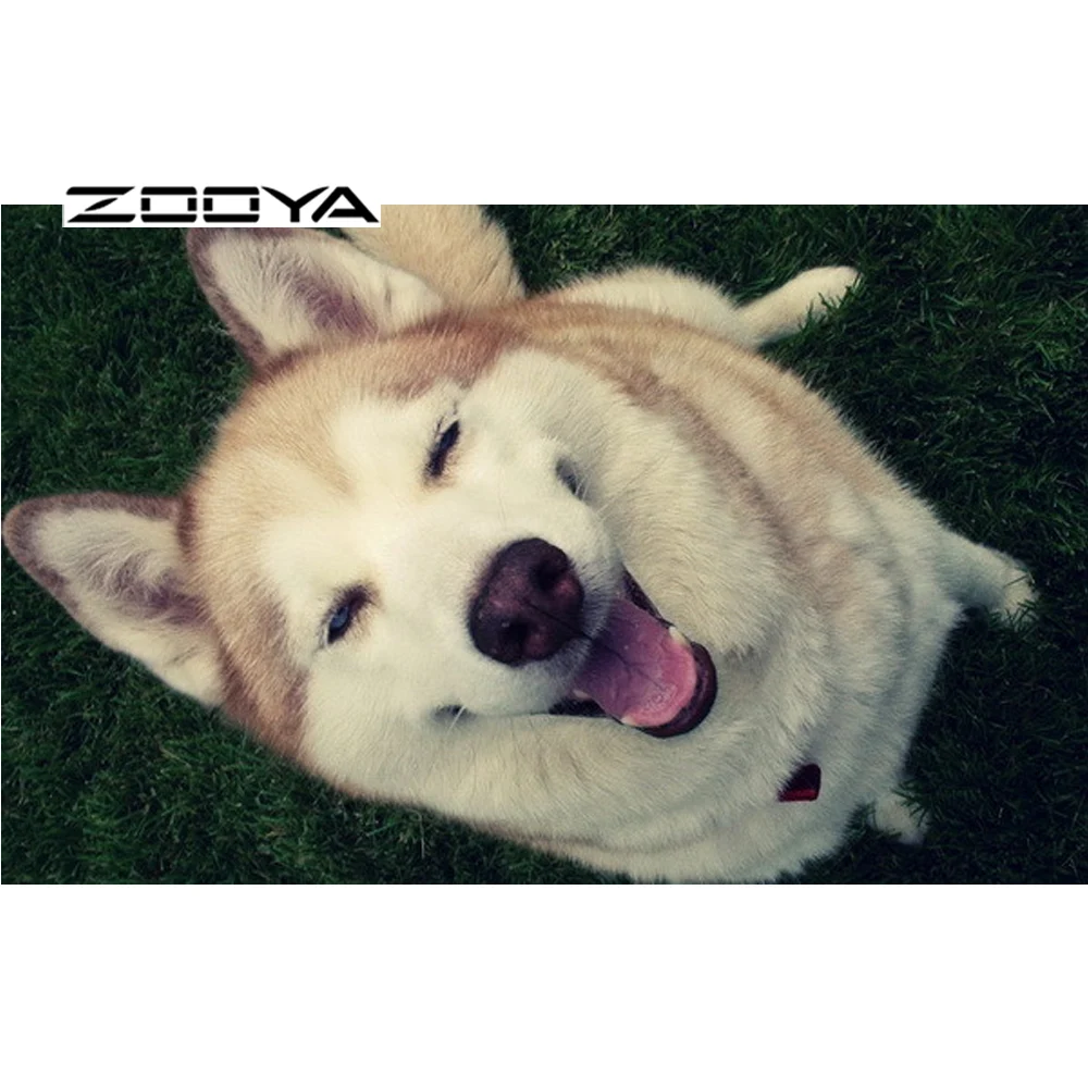 ZOOYA Diamond Painting Husky Dogs Puppy Full Embroidery Pattern Rhinestones Mosaic Needlework DIY Crafts RF1131 | Дом и сад