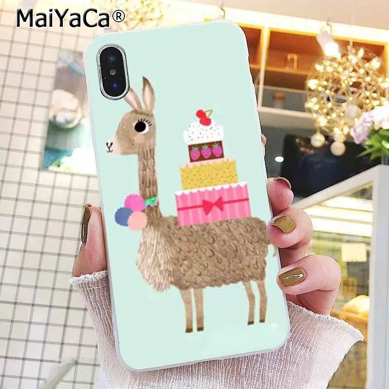 Lama Llama Alpacas Animal
