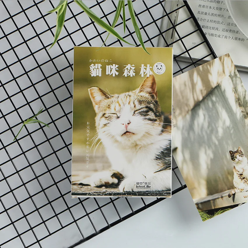 30 шт./лот Kawaii кошка лес открытка конверт для поздравительной открытки подарок открытка на день рождения DIY подарки