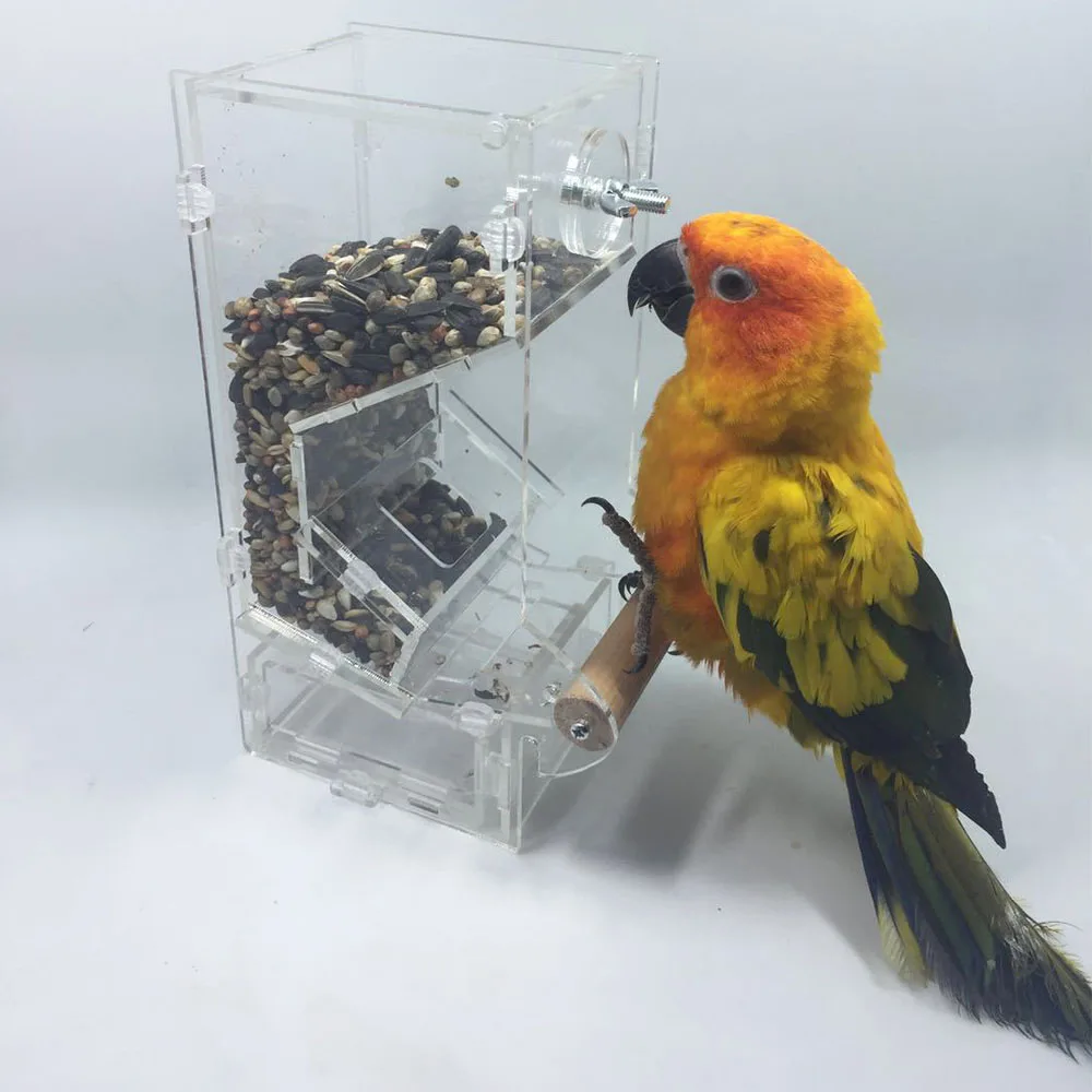 Buy Parrot Bird Automatic Feeders With Perch Bird Food