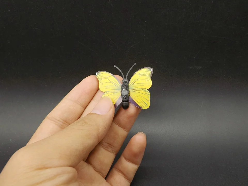 I259-Butterfly (4)