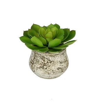 

Big Size Desert Lotus Artificial Succulent Plant Plastic Flower Green Plant Decoration Green Plant Background Free Shipping