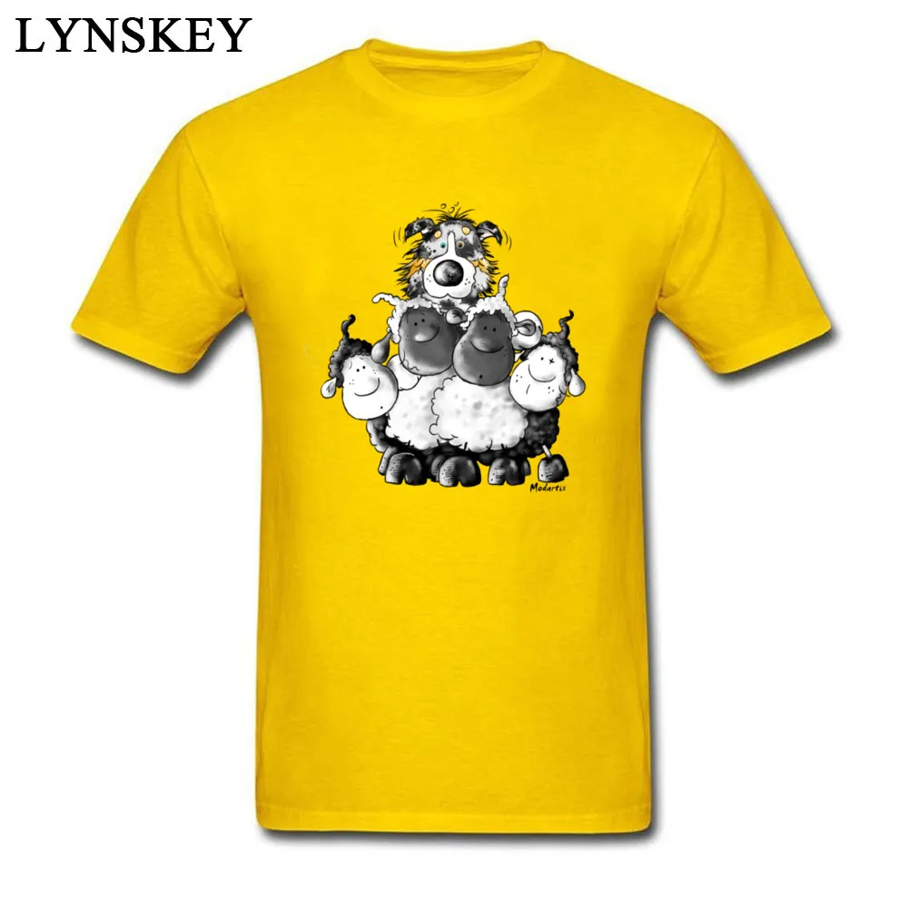 Australian Shepherd and sheep - Dog_yellow