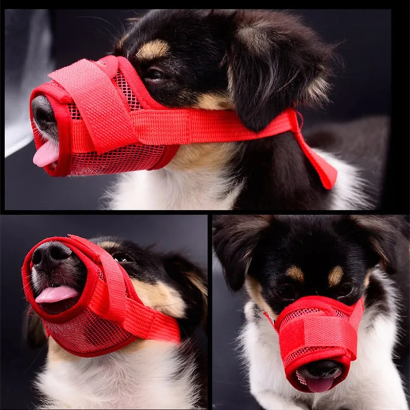 Dog Muzzle (7)