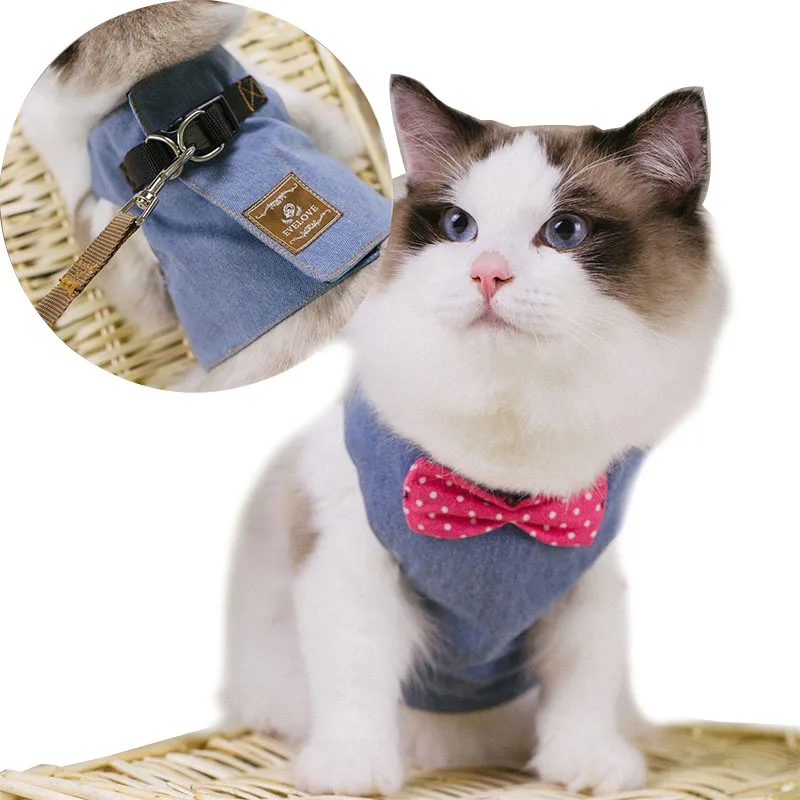 harness for cat